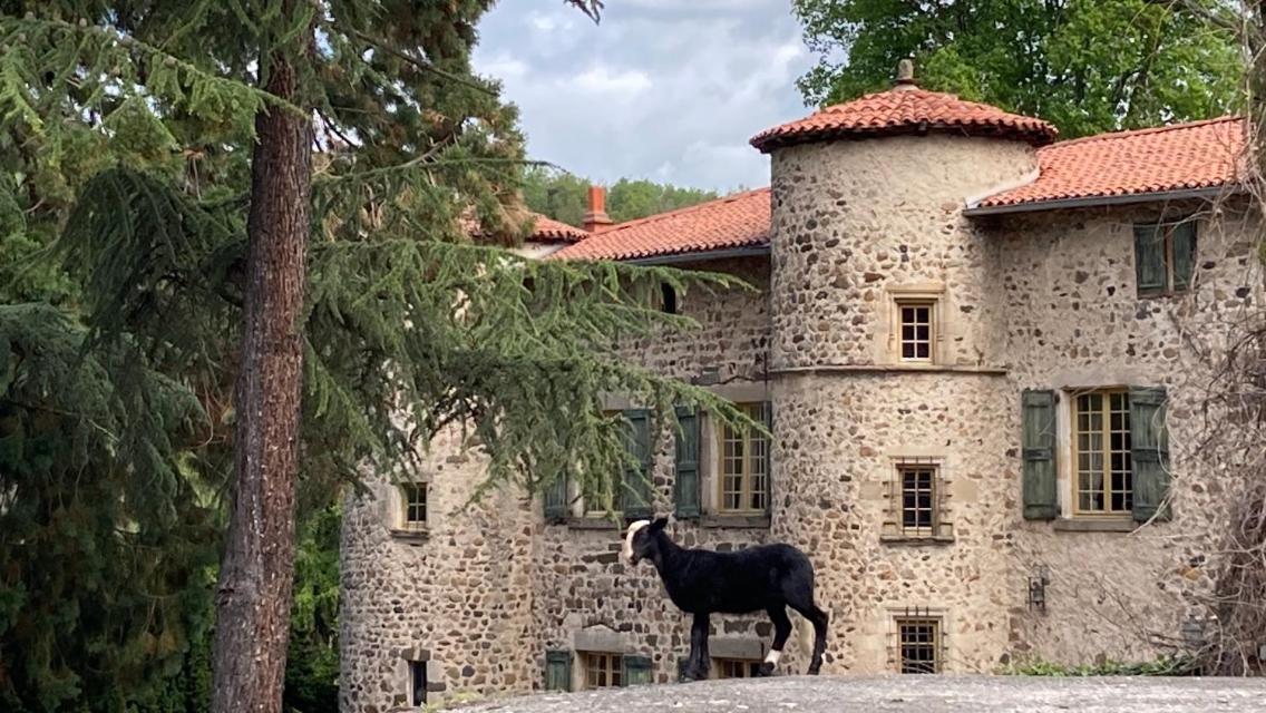 Chateau De Durianne Le Monteil  Luaran gambar