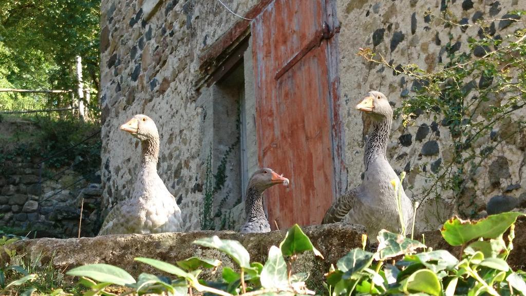 Chateau De Durianne Le Monteil  Luaran gambar